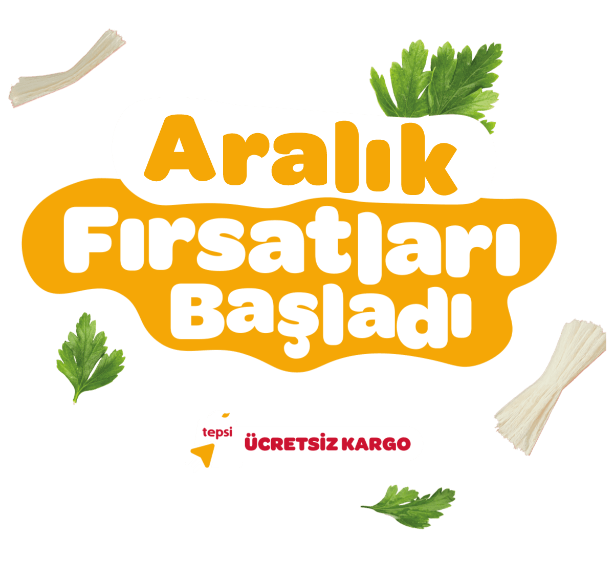 Tepsi Aralik Firsatlari